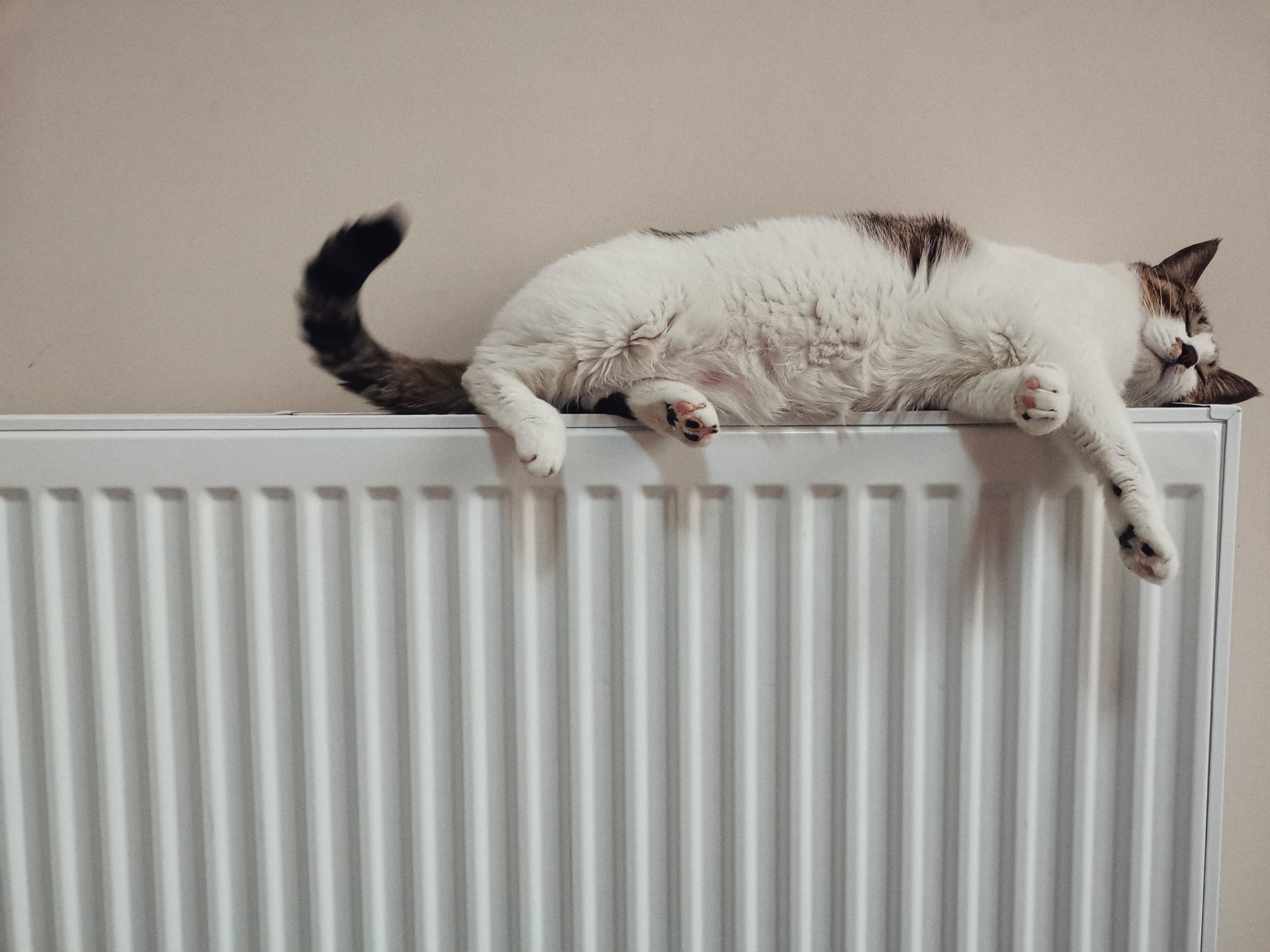 Een kat die op de verwarming ligt te slapen